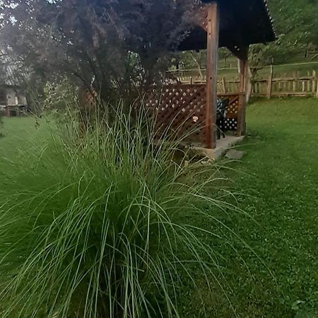 Villa Kuca Za Odmor Kalina Mokra Gora Exterior foto