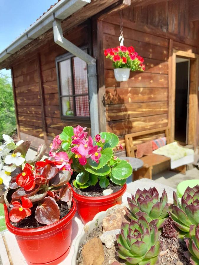 Villa Kuca Za Odmor Kalina Mokra Gora Exterior foto