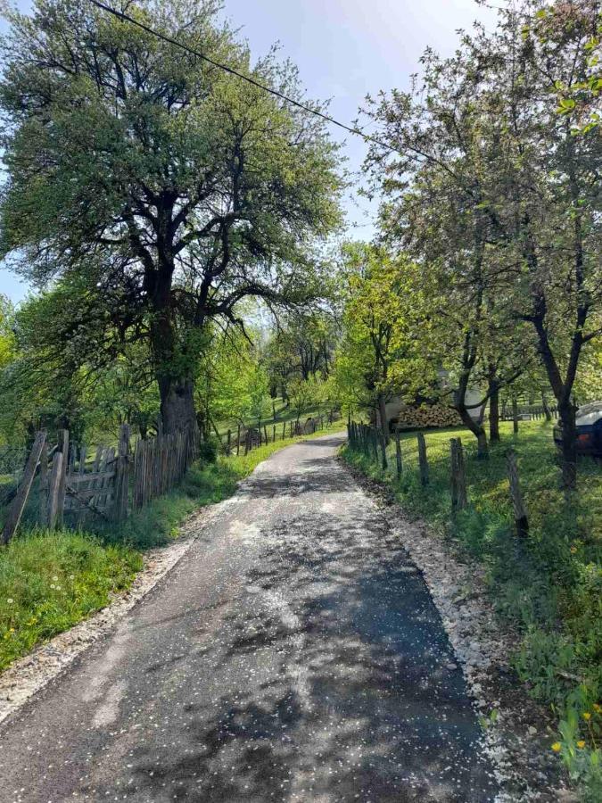 Villa Kuca Za Odmor Kalina Mokra Gora Exterior foto