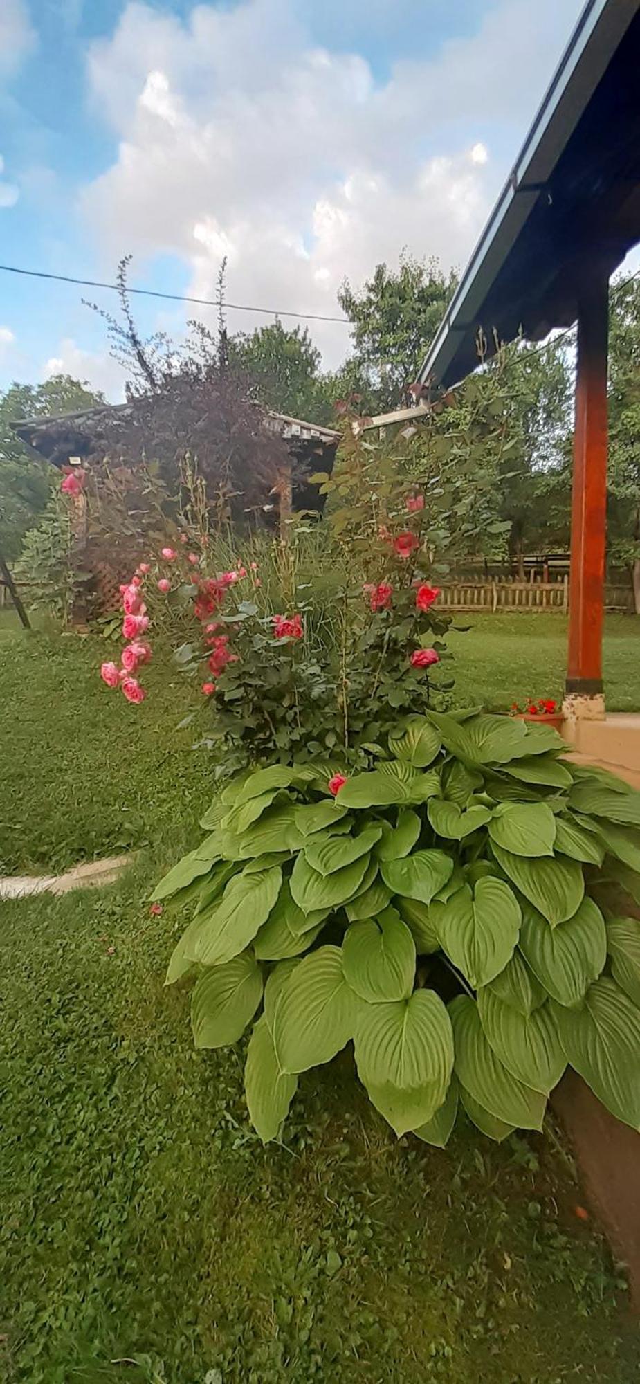 Villa Kuca Za Odmor Kalina Mokra Gora Exterior foto