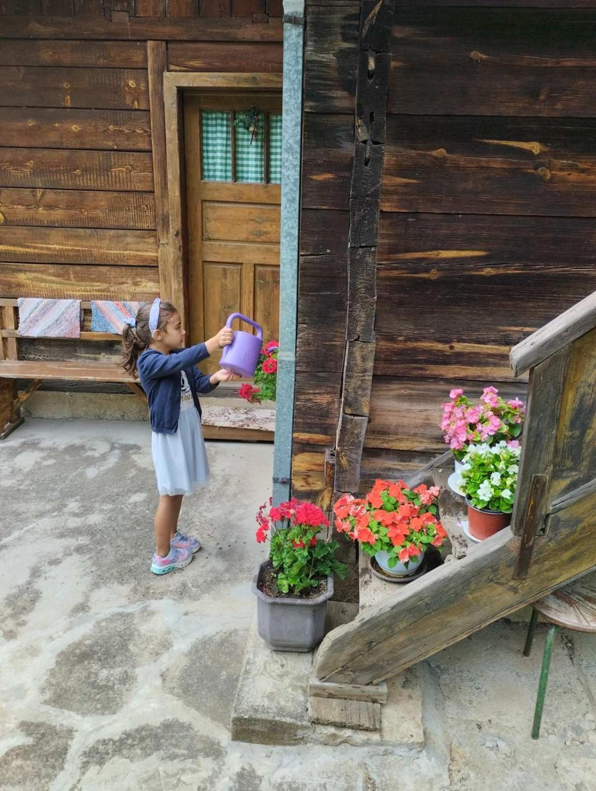 Villa Kuca Za Odmor Kalina Mokra Gora Habitación foto